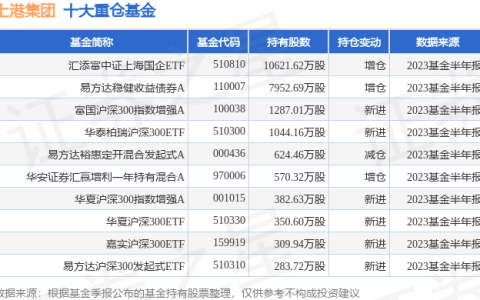 上海上港(中超积分榜)
