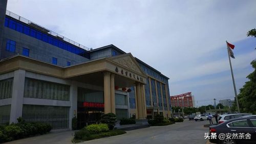 安溪餐饮湘菜排名前十(安溪宝龙自助餐排行榜前十名)插图25