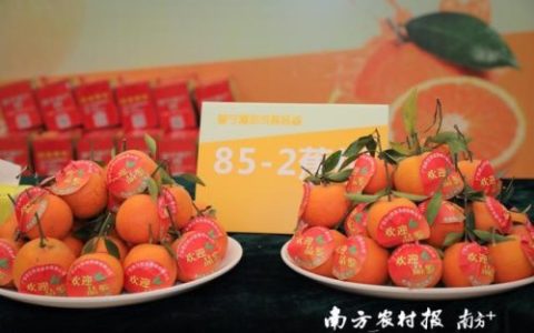 普宁水果超市排名前十(普宁水果批发市场在哪里)