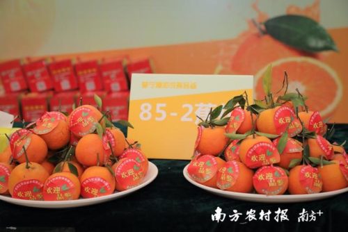 普宁水果超市排名前十(普宁水果批发市场在哪里)插图