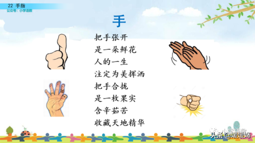 拇组词组(拇指的拇还能组哪些词)插图72