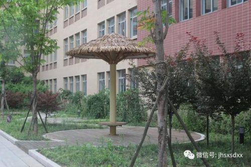建湖县森达小学(建湖县森达集团朱湘桂)插图9