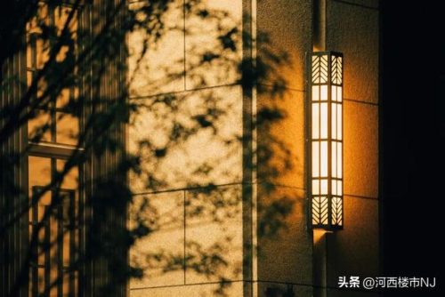 河西高端豪宅排名前十(天津河西别墅)插图11