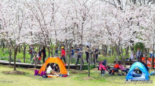 世界露营小屋排名前十(东莞十大露营地点排名)插图8