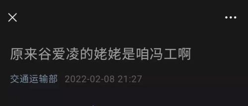 冬奥会谷爱凌爸爸(北京冬奥滑雪冠军)插图9