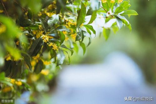 琦君的作者简介(琦君一家人的死因)插图5