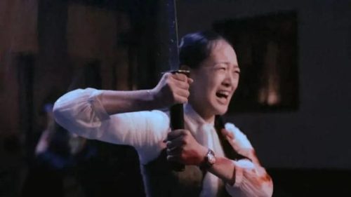 湖南台最新电视剧(湖南台即将上映电视剧)插图3