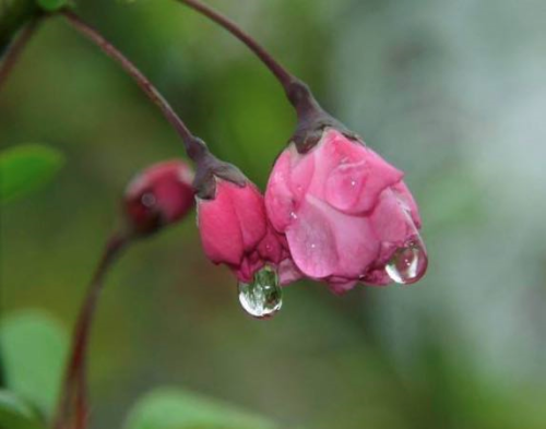哗啦啦啦啦天在下雨(天空在下雨是什么歌)插图5