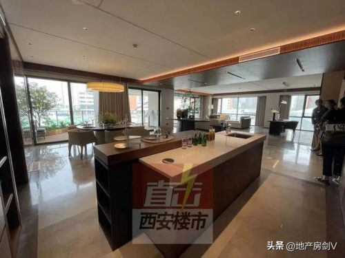 西安老牌豪宅排名前十(西安最大小区排名)插图6