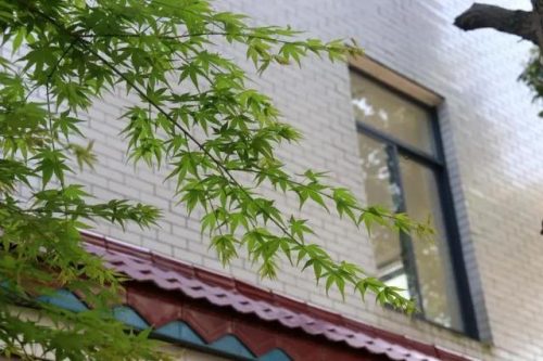 望城区中学排名前十(南康中学全国排名)插图21