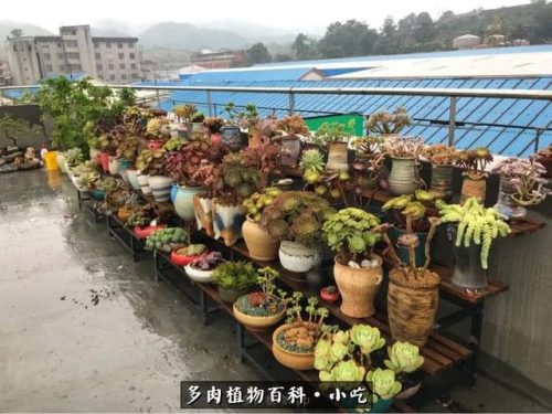 归路百度百科(归路演员表)插图25