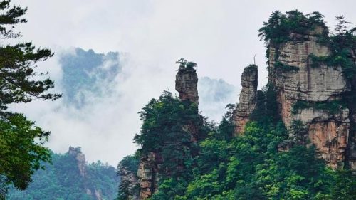 张家界著名旅游景点(张家界的旅游景点大全)插图26