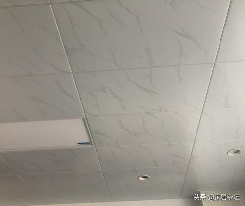 排名前十铝扣吊顶(铝扣板吊顶哪个品牌好)插图16