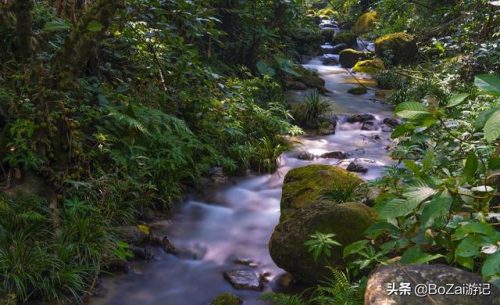 玉林景点(玉林龟山公园)插图8