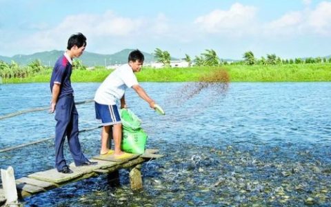 水产饲料(水产饲料排名前十名)