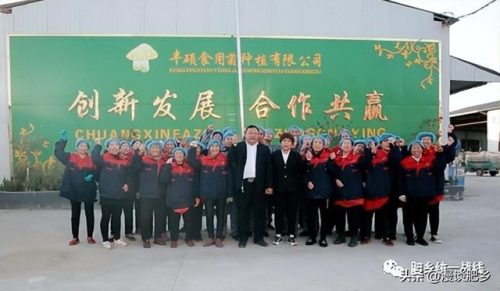 邯郸菌类公司排名前十(中国最好吃的菌类排名)插图4