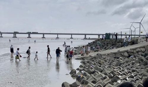 上海碧海金沙好玩吗(上海碧海金沙景区门票多少钱)插图9