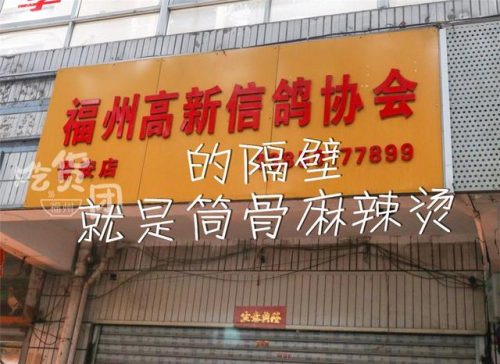 福州老牌烧鸡排名前十(福州道口烧鸡哪家最正宗)插图46