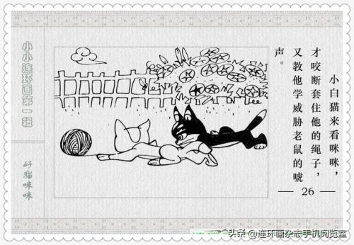 好猫咪咪(好猫咪咪的登录方式)插图27