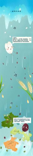 粥面故事(面粥三器怎么做)插图1