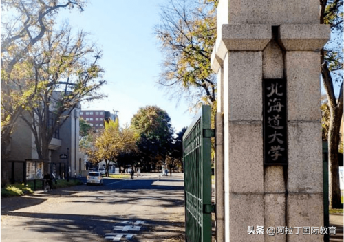 排名前十的日本留学(千叶大学)插图7