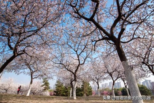 西安园林景点排名前十(西安周边一日游)插图68