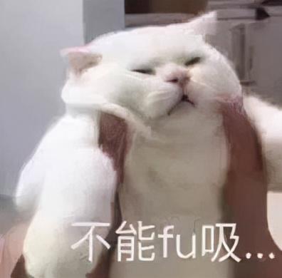 哪个品牌染发剂好(最安全十大名牌染发剂)插图14