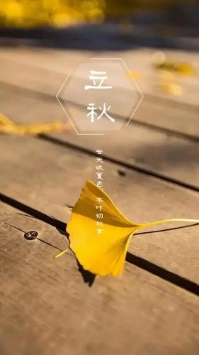 立秋图片大全高清(一叶知秋图片)插图41