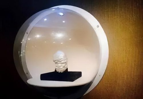 世界珍珠品种排名前十(珍珠品种大全)插图24