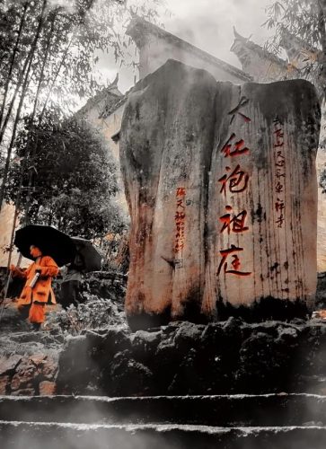 茶叶绿茶价位排名前十(绿茶叶品牌排行榜前10名)插图21