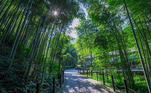 常州的景点排名前十(常州有什么风景区)插图13
