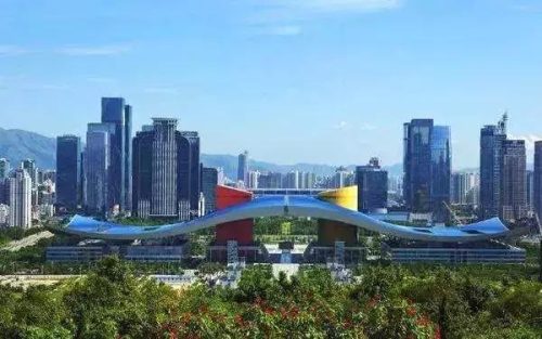 深圳学霸排名前十(深圳学霸都是来自哪些小学)插图24