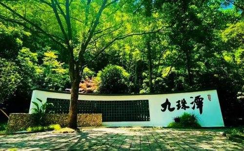 温州旅游景点(温州必去三大景点)插图48
