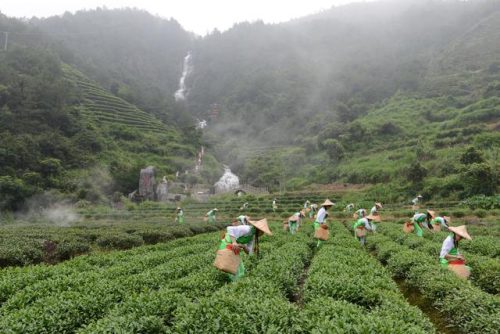 安溪偏僻村庄排名前十(安溪附近哪里比较偏僻)插图6