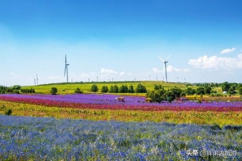 张家口旅游(张家口市内一日玩攻略)插图6
