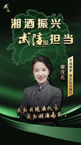 湖南进口酒商排名前十(湖南省名酒白酒排行榜)插图5