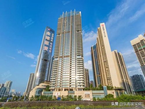深圳真实豪宅排名前十(深圳豪宅线标准)插图19