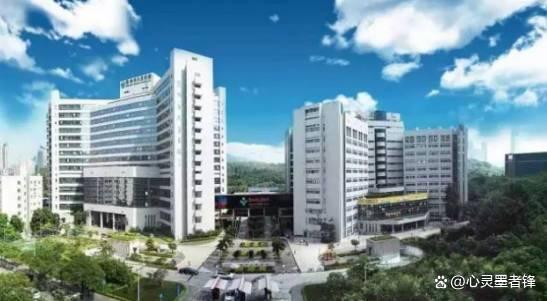 深圳医院排名前十的(深圳妇科三甲医院排名)插图5