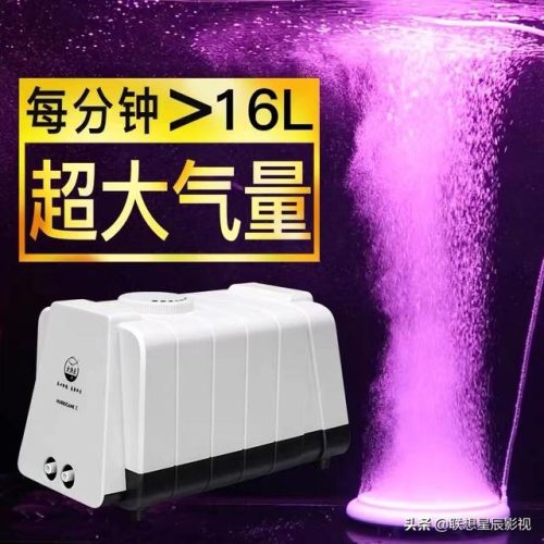氧气泵什么牌子好(气泵品牌十大排行榜)插图3