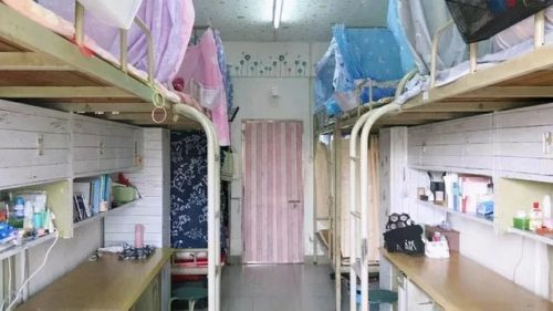 广东机电职业技术学院(广东机电职业技术学院北校区)插图28