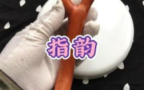 实木弹弓质量排名前十(实木弹弓好品牌十大排行榜)