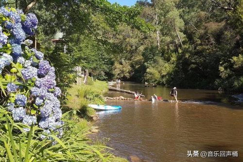 悉尼潜水设施排名前十(悉尼最危险的十个区)插图17