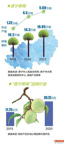 中国青梅企业排名前十(广东青梅产地)插图2