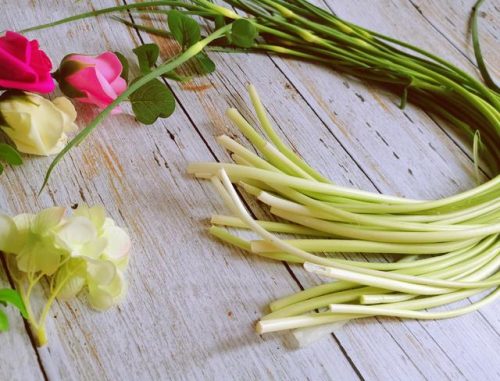 豆芽菜系列(豆芽图片高清)插图5