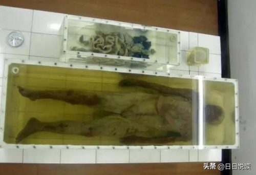 国内干尸展品排名前十(中国哪些博物馆有干尸)插图2