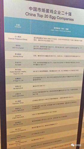 陕西大型鸡场排名前十(陕西最大企业排名)插图1