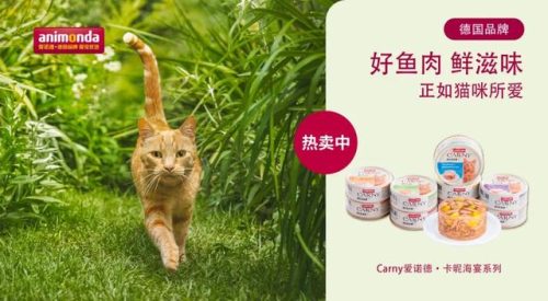 德国宠物机构排名前十(德国宠物平台排名前十)插图9