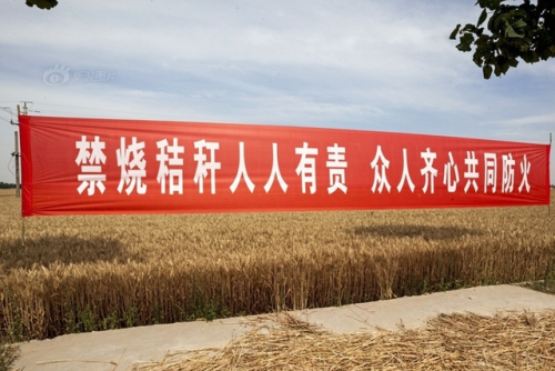 全球秸秆产量排名前十(粮食秸秆产量比例最高)插图1