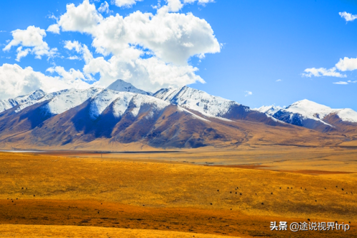 新疆顶级牧场排名前十(叶城二牧场)插图12