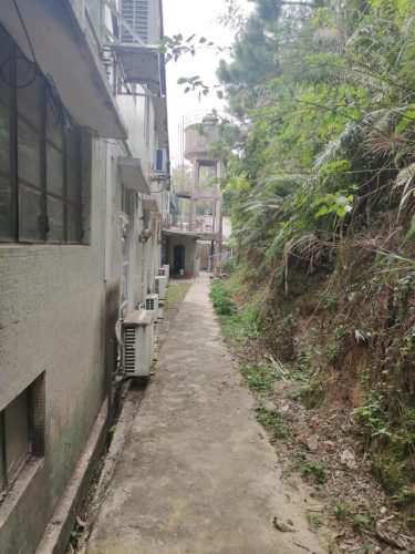 江门新会农庄排名前十(江门环境最好的农庄有哪些)插图7